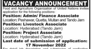 Food And Agriculture Organization of United Nations Jobs